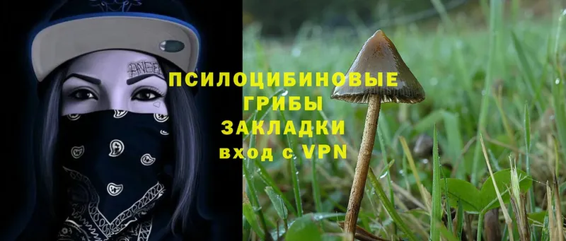 mega зеркало  мориарти клад  Галлюциногенные грибы MAGIC MUSHROOMS  Дорогобуж 